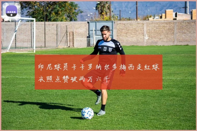 印尼球员卡卡罗纳尔多梅西走红球衣照点赞破两万六千