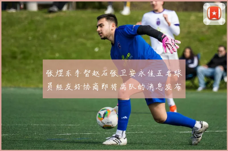 张煜东李智赵石张卫安永佳五名球员经友好协商即将离队的消息发布