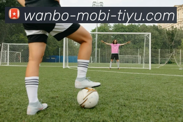 万博体育发展历程